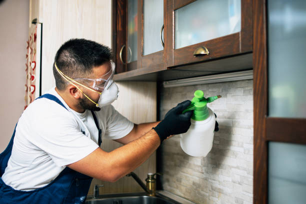 Best Best Pest Control Companies  in Del Rey Oaks, CA