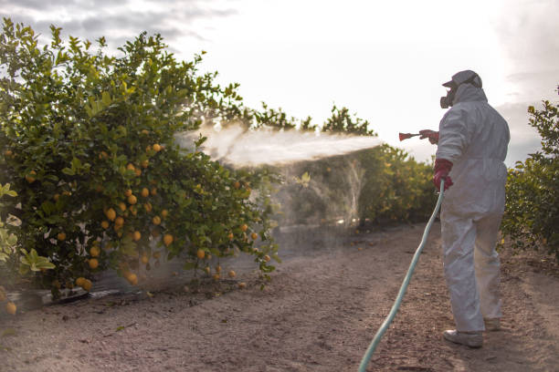 Best Mosquito Control Services  in Del Rey Oaks, CA