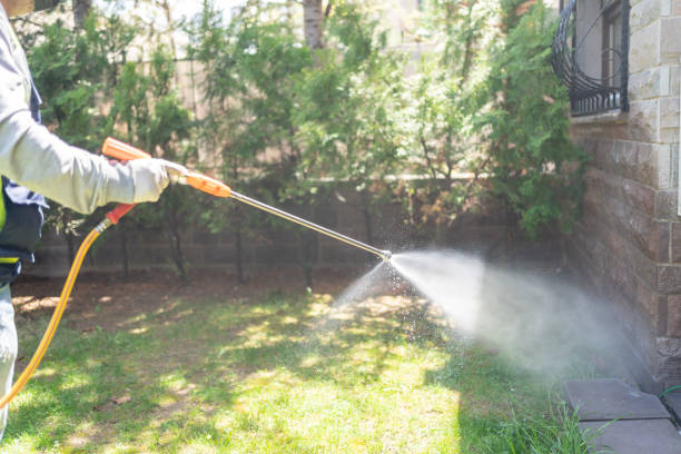 Best Insect Control  in Del Rey Oaks, CA