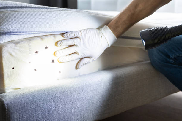 Del Rey Oaks, CA Pest Control Company