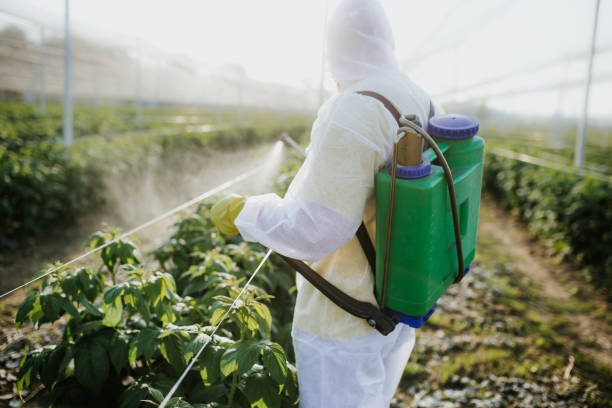 Best Affordable Pest Control Services  in Del Rey Oaks, CA